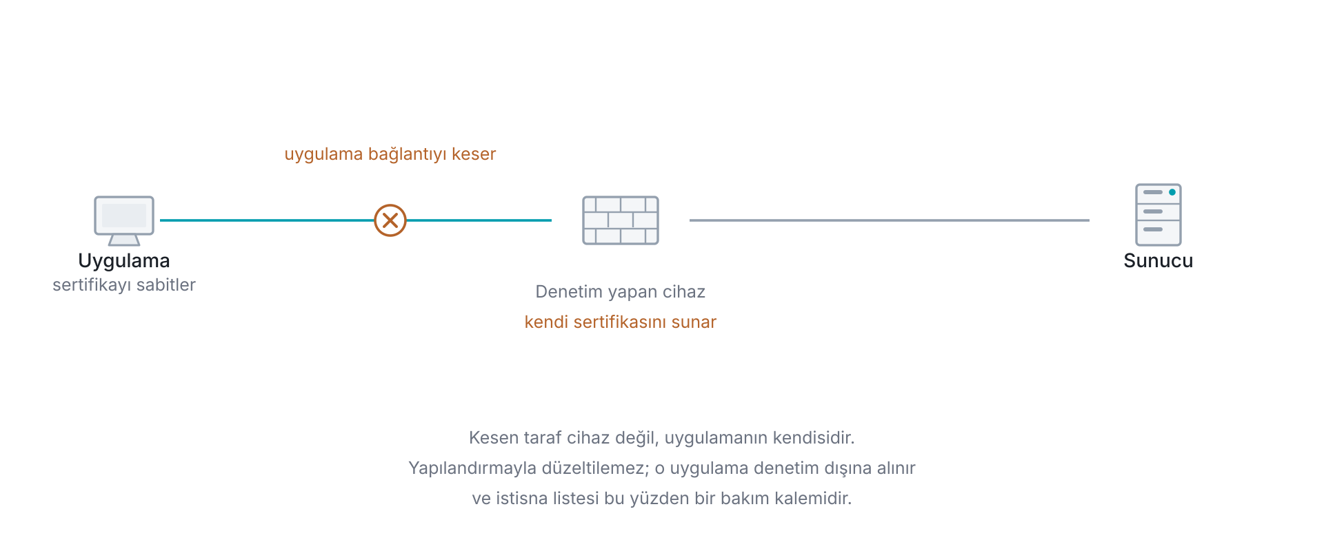 Sertifika sabitlemenin denetimi bozması: sabitleme yapan uygulama yalnız beklediği sertifikayı kabul eder ve denetim yapan cihazın ürettiği sertifika o beklentiye uymadığı için bağlantıyı kendisi keser; sorun cihazın yapılandırmasında değil, uygulamanın tasarımındadır ve çözüm o uygulamayı denetim dışına almaktır.